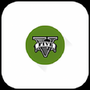 GTA ViA