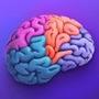 Gyrus: Brain Logic Training