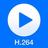 H.264 Player