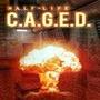 Half-Life: C.A.G.E.D.