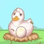 hatch ducklings