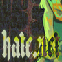 hate.net