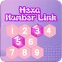 Hexa Number Link