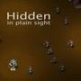 Hidden in Plain Sight