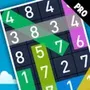 Hidden Numbers PRO