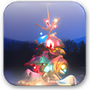 Holiday Lights