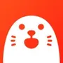 HOLLA - Live Random Video Chat