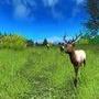 Hunting Unlimited