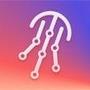 JellyFish Designer Cloud