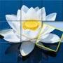 Jigmatch - Zen Puzzle