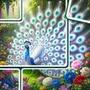 Jigmerge Puzzle
