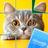 Jigsaw Solitaire Puzzle