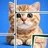 Jigsaw Solitaire: Tile Puzzle