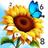 Jolly Color for Seniors