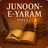 Junoon e Yaram Novel