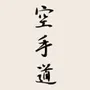 Karate Shotokan Guide