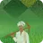 Kisan Girdawari