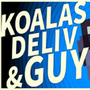 KOALAS DELIV & GUY