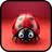 Ladybug Pattern Quest