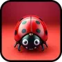 Ladybug Pattern Quest