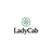 LadyCab: Women Taxi Dublin