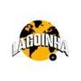 Lagoinha USA