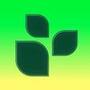 Lifesum: Diet Macro Tracker