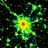 Light Pollution Map
