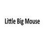 Little Big Mouse