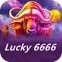 Lucky 6666