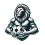 LuckyLion - Football Analysis