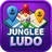 Ludo Game