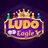 Ludo Series - Play and Win