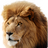 Mac OS X Lion Wallpapers