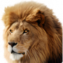 Mac OS X Lion Wallpapers