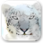 Mac OS X Snow Leopard Wallpapers