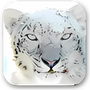 Mac OS X Snow Leopard Wallpapers