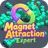 MagnetAttractionExpert