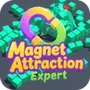 MagnetAttractionExpert