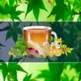Medicina natural