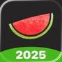 Melon VPN - Easy Fast VPN