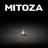 Mitoza