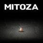 Mitoza