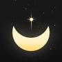 Moon Phase Calendar - MoonX