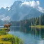Nature N-Puzzle