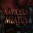 Navicula Meatus