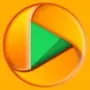 Network Stream Video Player