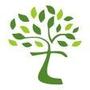Network Tree Co.