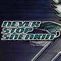 Never Stop Sneakin
