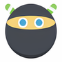 Ninja Download Manager